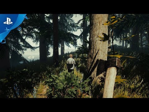 THE FOREST PS5